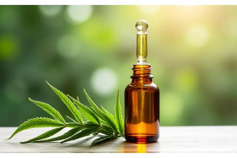 Elegant bottle of CBD oil with dropper, surrounded by natural hemp leaves.